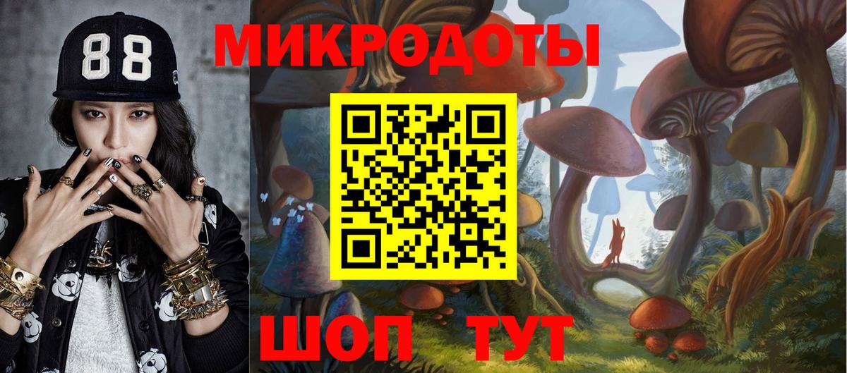 Псилоцибиновые грибы Cubensis Соль-Илецк