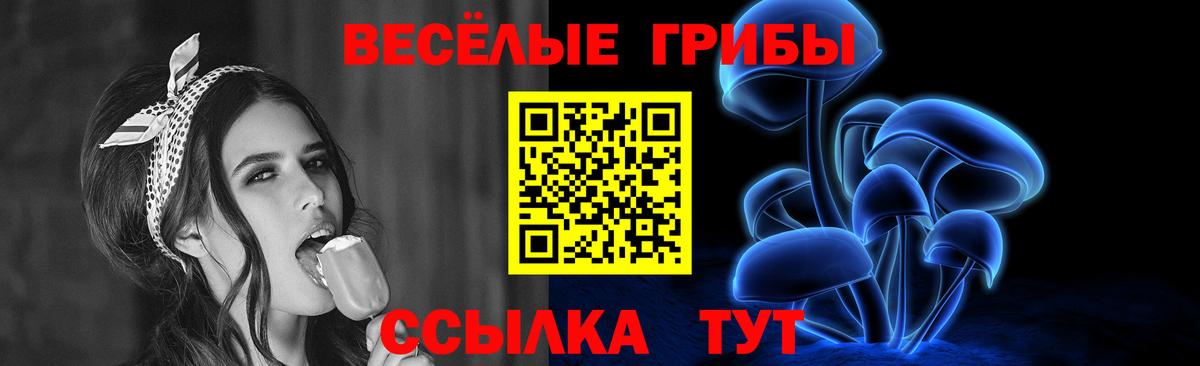 Псилоцибиновые грибы Psilocybine cubensis  закладки  Соль-Илецк  Вход с VPN 